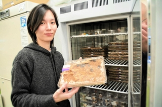 飼育するクチキゴキブリについて語る大崎遥花さん。研究室は「世界一クチキゴキブリ密度が高い場所」と笑う＝三田市弥生が丘６