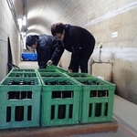 ダム内部の通路に地酒を並べる酒蔵の関係者たち＝三田市加茂（宝塚土木事務所提供）