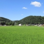 新緑の神鍋山（右）と大机山（左）。神鍋山の山頂には火口が残る