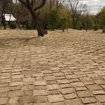 洋画家・大石輝一さんが夢見た理想郷に芝生広場を整備　三田・中内神の「アートガーデン」