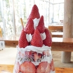 イチゴを約２０個使った特大のイチゴパフェ＝三田市上相野