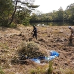 三田・皿池湿原、国認定「自然共生サイト」に　官民協力で生物多様性保ち、絶滅危惧種74種類を確認