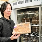 飼育するクチキゴキブリについて語る大崎遥花さん。研究室は「世界一クチキゴキブリ密度が高い場所」と笑う＝三田市弥生が丘６