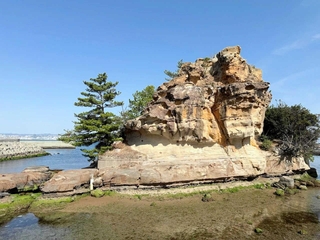 淡路島の絵島。海でできた地層が今の風景をつくっている