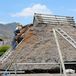 ふき替え作業が進む「古代室」のかやぶき屋根＝三田市木器