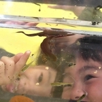 水槽を下からのぞき、オタマジャクシや魚、イモリを観察する子どもたち＝市有馬富士自然学習センター