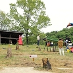 新たに４体が増えた「木の動物園」＝県立有馬富士公園