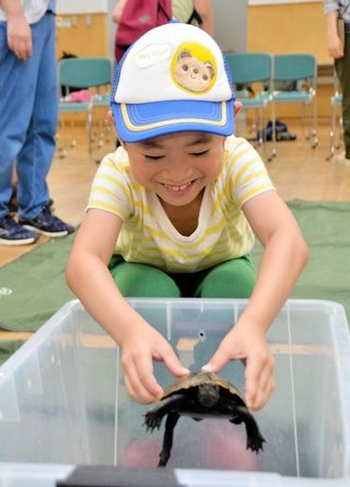 実際にカメに触れる子どもら＝三田市福島