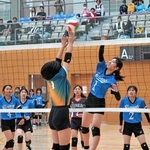 ボールをつなぎ、スパイクを打ち込むゆりのき台の選手＝駒ケ谷体育館
