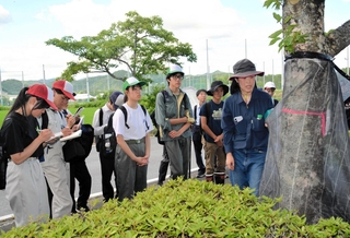 県自然保護協会の山崎紫さんから、防除ネットについて説明を聞く参加者ら＝三田市四ツ辻