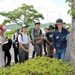 サクラやモモ枯らす外来カミキリ、現状は　三田の3高校から20人参加　野外学習で深刻さ体感