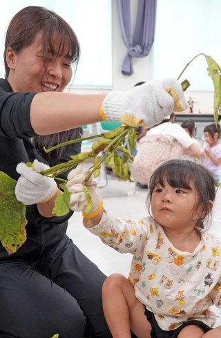 枝から黒枝豆をもぎ取る子ども＝三田市富士が丘２