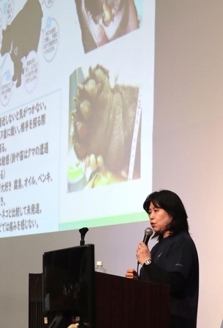 ツキノワグマの生態や対策などについて説明した兵庫県立大の横山真弓教授＝三田祥雲館高