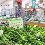 ＪＡ兵庫六甲の直売所「パスカルさんだ一番館」の店頭に並んだ特産の黒大豆枝豆＝三田市川除