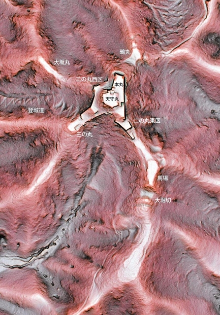 利神城跡の赤色立体地図。色が濃い部分は傾斜が激しい。白っぽい地点は山を造成した平坦地（佐用町教育委員会提供）