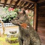 法楽寺にある黒犬の像