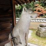 法楽寺にある白犬の像