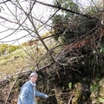 レーザー測量で見つかった利神城の井戸跡。今も岩から水がしたたる＝佐用町平福（撮影・山崎　竜）