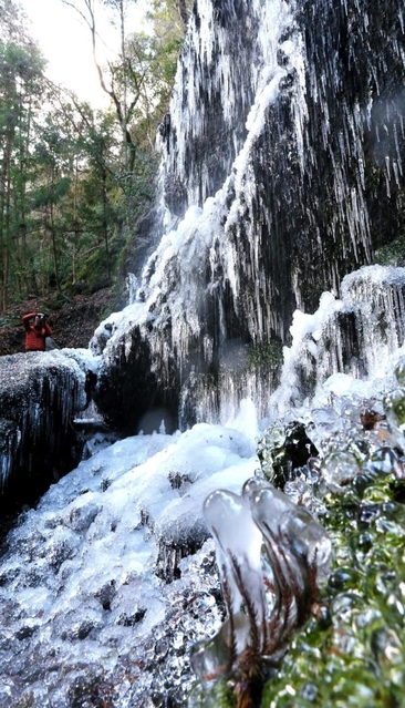一部が凍結を始めた飛龍の滝＝佐用町櫛田