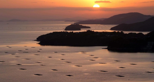 夕焼けに染まる海でシルエットになる養殖いかだ＝たつの市御津町から