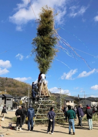 とんど作りに精を出す伊津地区の住民ら＝たつの市御津町岩見
