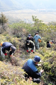 眺望の開けた尼子山の登山道を整備する住民ら＝赤穂市高野