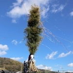 とんど作りに精を出す伊津地区の住民ら＝たつの市御津町岩見