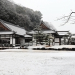 庭園が白く雪に覆われた龍野城御殿＝たつの市龍野町上霞城