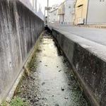 転落現場の側溝。深さは１メートル近く、小高さんはうつぶせで倒れていた＝たつの市龍野町日山