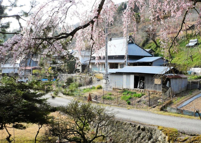 枝垂れ桜越しの安藤家