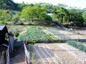 安藤家の畑（奥）