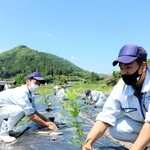 学校で育てたフジバカマを植え付ける佐用高校生＝佐用町平福