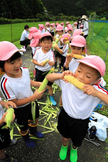 もぎたてのコーンを頬張る園児＝市川町上牛尾