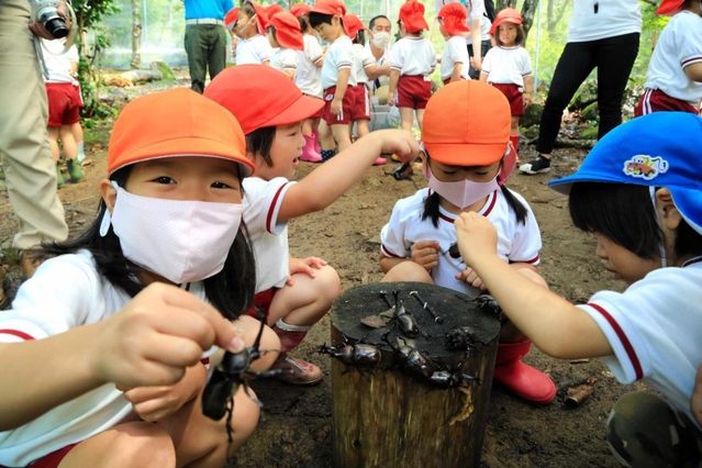 カブトムシの角をつまんで喜ぶ園児＝リフレッシュパーク市川