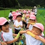 もぎたてのコーンを頬張る園児＝市川町上牛尾