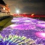 遠浅の海岸を幻想的に彩ったライトアップの試験点灯＝５日夜、たつの市御津町黒崎（撮影・大山伸一郎）