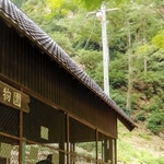野生のニホンザル８０匹が集まる「船越山るり寺モンキーパーク」＝佐用町船越