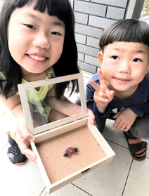 標本にしたシタベニハゴロモを持つ鈴木万結さんと奏太朗君（鈴木崇仁さん提供）