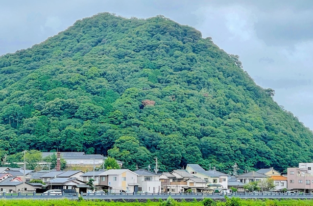 ナラ枯れの被害が初めて確認された鶏籠山。中腹付近の一部が赤くなっている＝たつの市龍野町