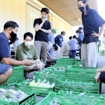 集荷場を訪れ、日頃購入している野菜の生産者から話を聞くシェフら＝佐用町豊福