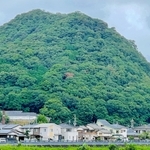 ナラ枯れの被害が初めて確認された鶏籠山。中腹付近の一部が赤くなっている＝たつの市龍野町