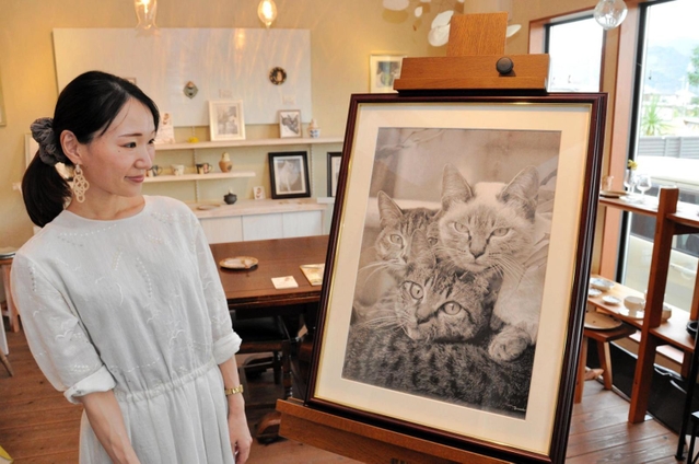 猫への愛情がこもった鉛筆画＝赤穂市新田