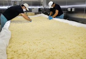 新酒の仕込み作業に励む従業員。室内にはふくよかな香りが漂う＝山陽盃酒造