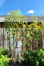 藤本喜和さんの畑で育った高さ３メートル９０センチのヒマワリ＝市川町（同町提供）