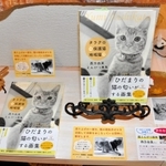 猫の鉛筆画集