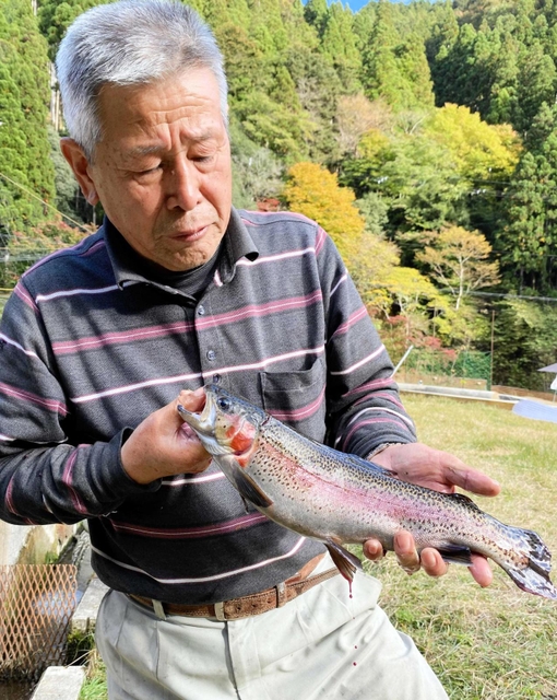 出荷サイズに育った「しそう森林のサーモン」＝遊ファーム