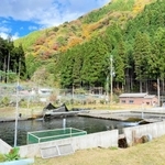 清流を引き込んだ養殖池。サーモンとともに地域の未来も育む＝遊ファーム