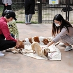 犬と触れ合う入園者＝赤穂市御崎