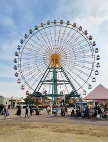 来年１月１０日で運転を終える大観覧車＝赤穂海浜公園