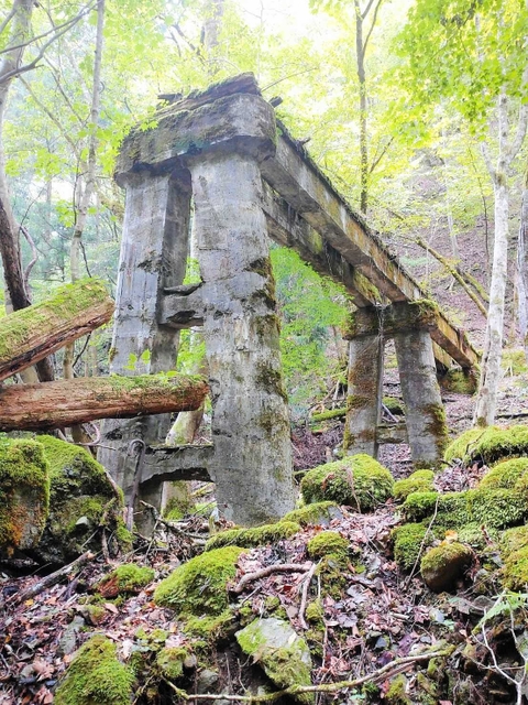 山中に残る波賀森林鉄道の遺構。最大級の橋脚跡という＝宍粟市波賀町（同協議会提供）